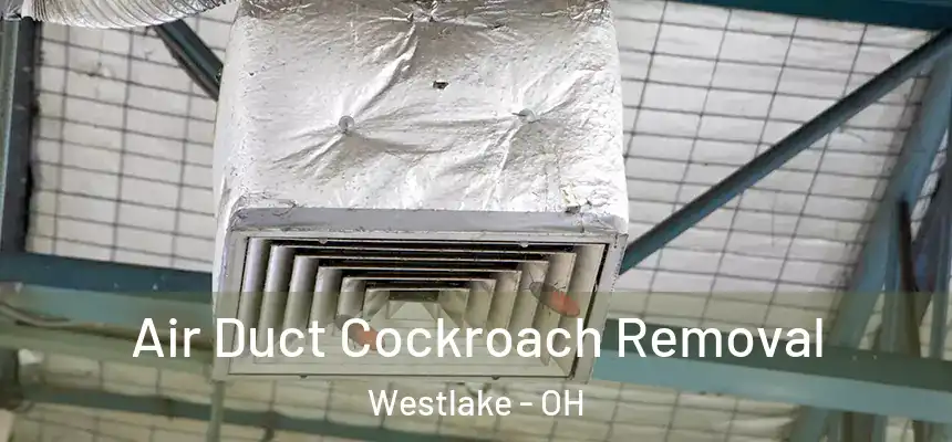 Air Duct Cockroach Removal Westlake - OH