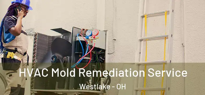  HVAC Mold Remediation Service Westlake - OH