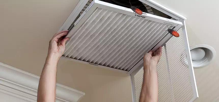 Preventive Cockroach-Proofing for Ducts in Westlake