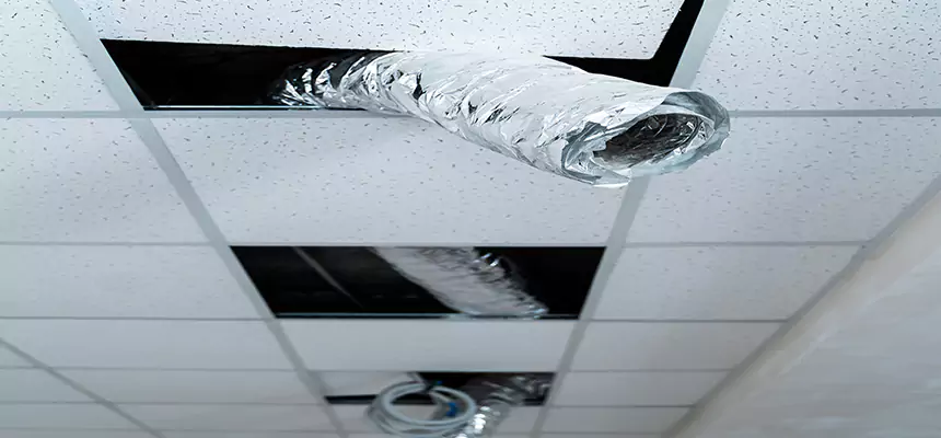 Affordable HVAC Sanitizing After Pest Removal in Westlake