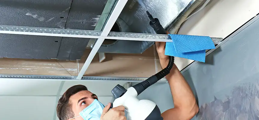 Our Air Duct Rodent Removal Services in Westlake, OH