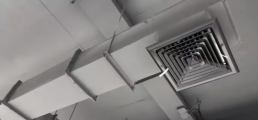 Our Rodent Droppings In Vents Services in Westlake, OH