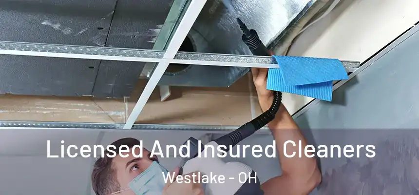 Licensed And Insured Cleaners Westlake - OH
