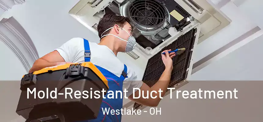  Mold-Resistant Duct Treatment Westlake - OH
