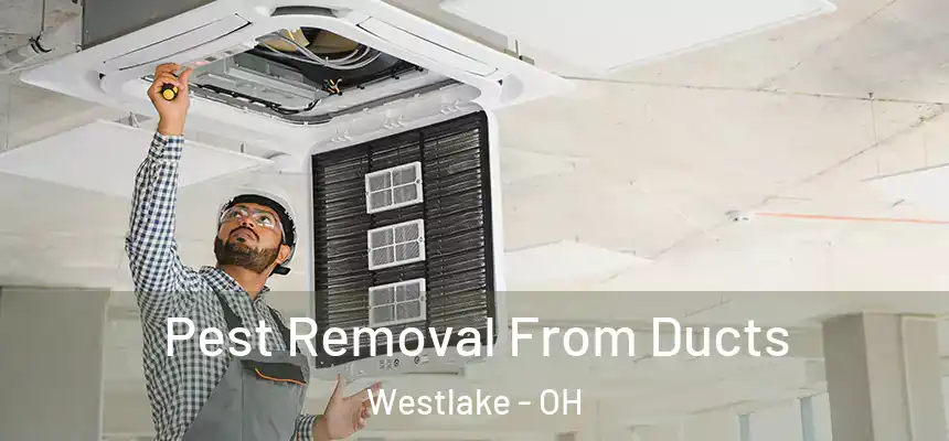 Pest Removal From Ducts Westlake - OH