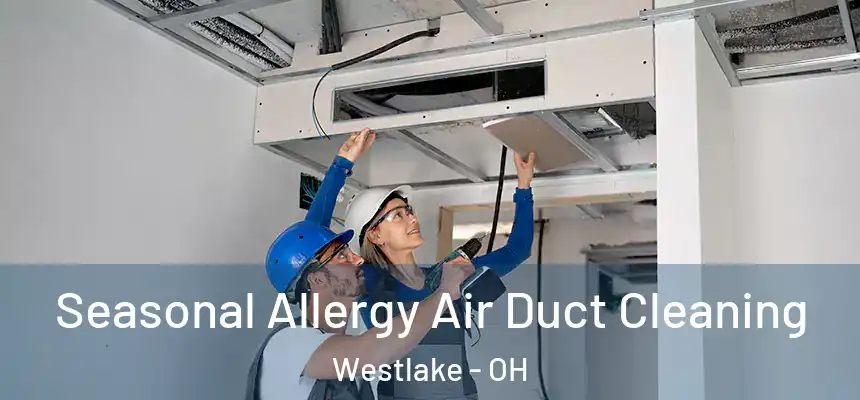  Seasonal Allergy Air Duct Cleaning Westlake - OH