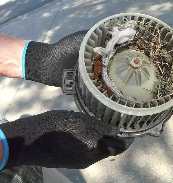 About Air Duct Rat Removal in Westlake, OH