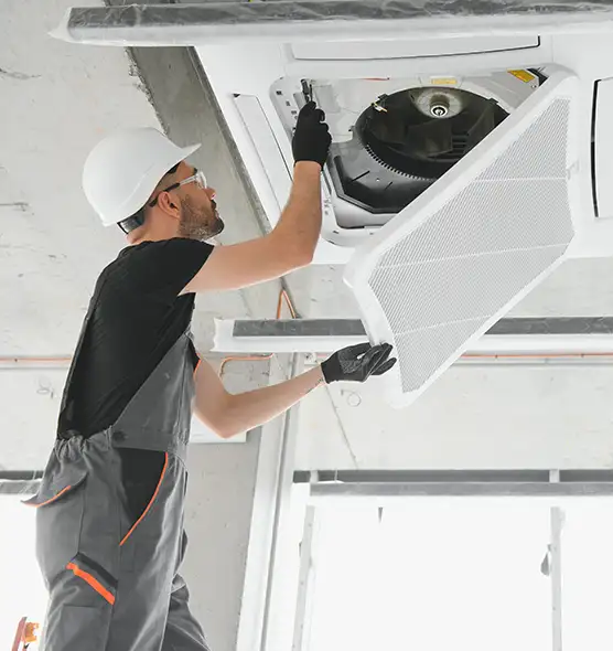 About Air Duct Rodent Removal in Westlake, OH