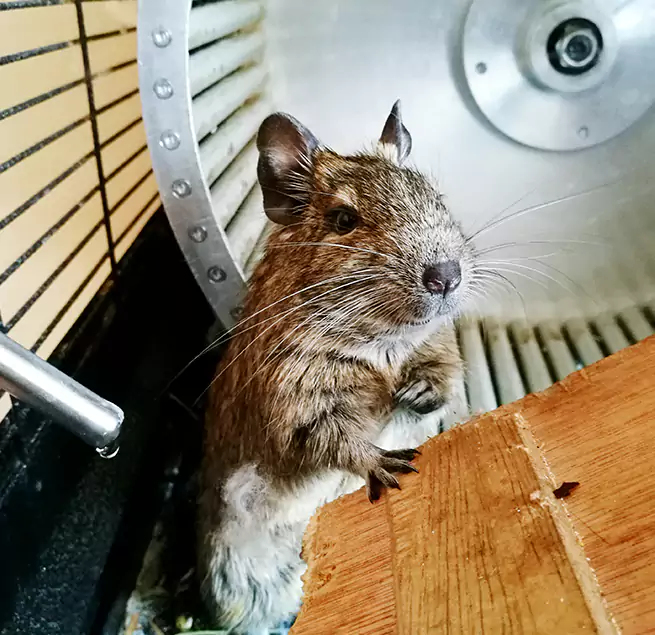 Why Homeowners & Businesses Trust Us Westlake, OH